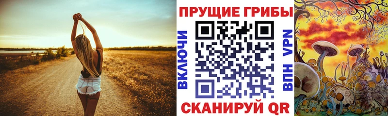 darknet официальный сайт  Бугуруслан  Псилоцибиновые грибы Psilocybine cubensis  где купить  